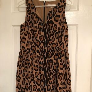 Loft print fit and flare dress